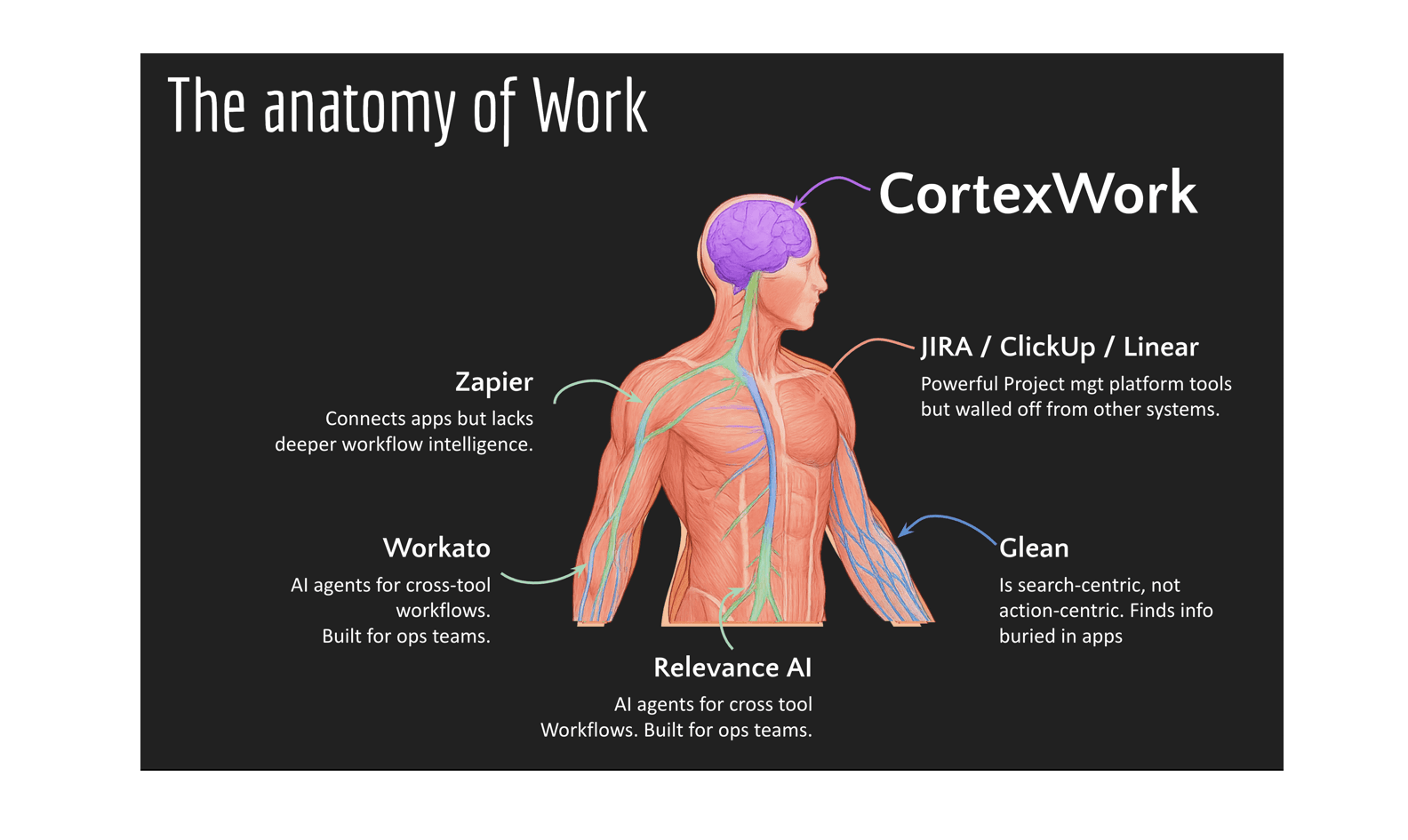 Human body analogy showing CortexWork as the cerebral cortex